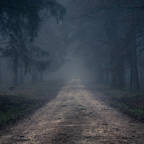 LonelyPathway