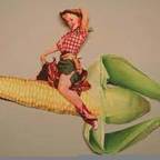 CornStar885