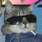 Bruhguy