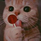 MON_CHATON